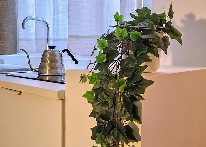 N 5 לינה וארוחת בוקר פומפיי